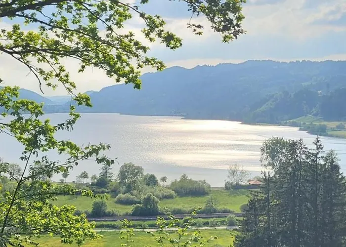 Almchalet Mit Pool Und Sauna Appartamento